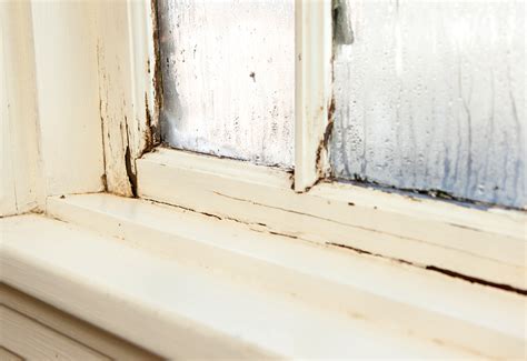 who to call for leaking window|Professional Window Repair Services